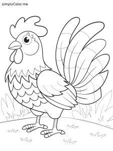 Rooster color page Rooster color page
