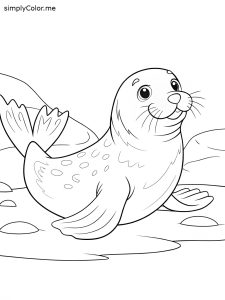Sea lion coloring sheet Sea lion coloring sheet