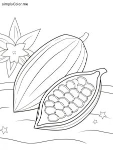 Seed coloring sheet