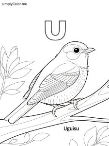 U is for Uguisu (bird) coloring page U is for Uguisu (bird) coloring page