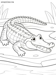 Coloring sheet alligator
