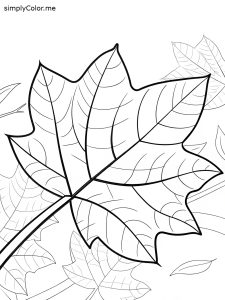 Coloring sheet of a leaf