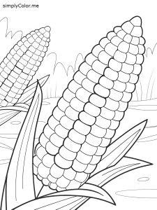 Corn coloring sheet Corn coloring sheet