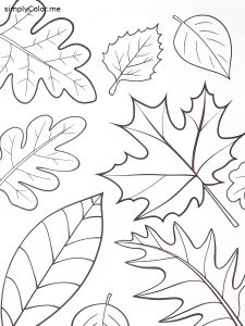 Fall leaves coloring sheet Fall leaves coloring sheet