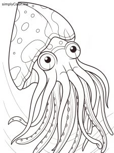 Giant squid coloring page printable Giant squid coloring page printable