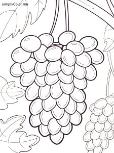 Grapes color page