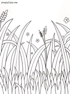 Grass coloring page