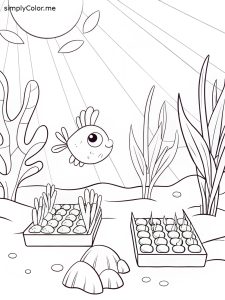 Macroalgae coloring page farming