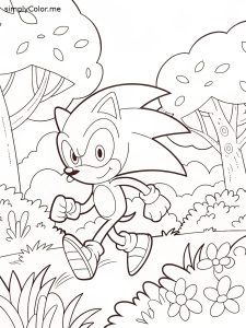 Sonic the hedgehog color page