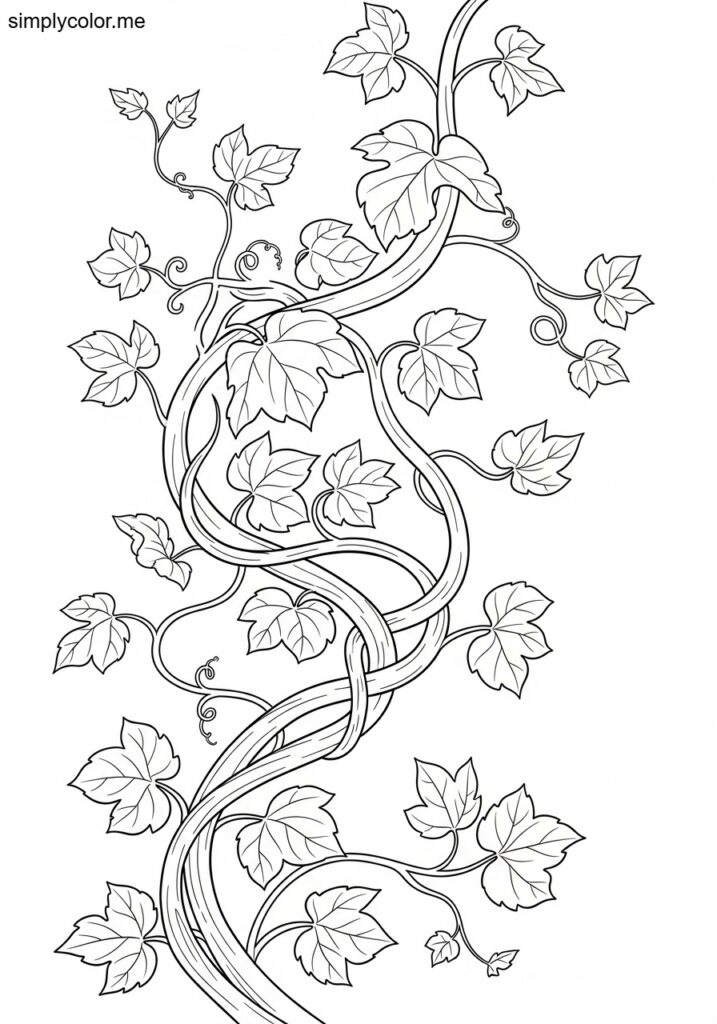 Vine coloring sheet