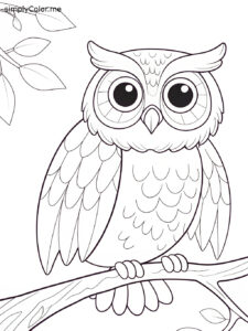 Free owl coloring sheet Free owl coloring sheet