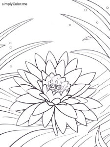 Georgia o keeffe coloring sheet Georgia o keeffe coloring sheet