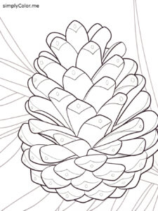 Pine cone coloring sheet Pine cone coloring sheet