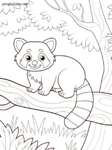 Red panda color page