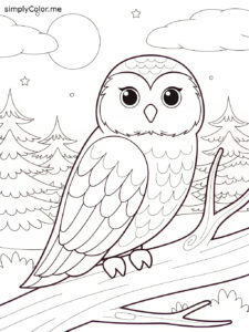 Snowy owl coloring