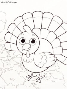 Turkey color sheet free Turkey color sheet free