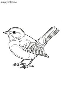 American Redstart (Setophaga ruticilla) coloring page
