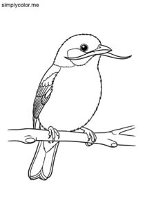 Blue-whiskered Tanager (Tangara johannae) coloring page