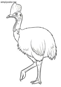 Cassowary (Casuarius spp.) coloring page Cassowary (Casuarius spp.) coloring page
