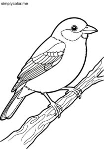Cinnamon Tanager (Schistochlamys ruficapillus) coloring page Cinnamon Tanager (Schistochlamys ruficapillus) coloring page