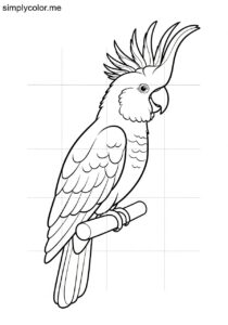 Cockatoo (Cacatuidae spp.) coloring page