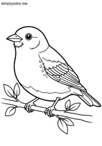 Golden-backed Tanager (Tangara arthus) coloring page