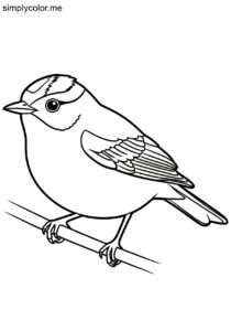 Golden-crowned Warbler (Basileuterus culicivorus) coloring page Golden-crowned Warbler (Basileuterus culicivorus) coloring page