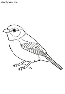 Green-and-gold Tanager (Tangara schrankii) coloring page
