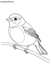 Green-capped Tanager (Tangara meyerdeschauenseei) coloring page