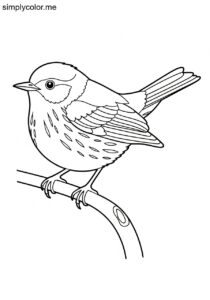 Hermit Warbler (Setophaga occidentalis) coloring page Hermit Warbler (Setophaga occidentalis) coloring page