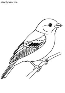 Indigo Bunting (Passerina cyanea) coloring page