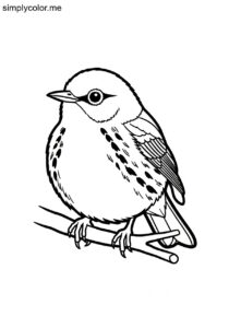 Kirtland's Warbler (Setophaga kirtlandii) coloring page Kirtland’s Warbler (Setophaga kirtlandii) coloring page