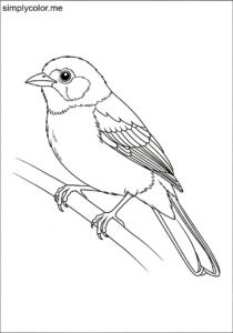 Ochre-breasted Tanager (Chlorothraupis stolzmanni) coloring page Ochre-breasted Tanager (Chlorothraupis stolzmanni) coloring page