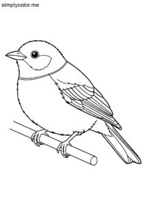 Olive-backed Tanager (Mitrospingus oleagineus) coloring page Olive-backed Tanager (Mitrospingus oleagineus) coloring page
