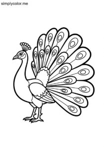 Peacock (Pavo cristatus) coloring page