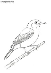 Purple Honeycreeper (Cyanerpes caeruleus) coloring page