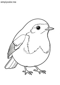 Robin (Erithacus rubecula) coloring page