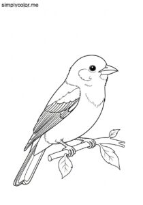 Scarlet Tanager (Piranga olivacea) coloring page Scarlet Tanager (Piranga olivacea) coloring page