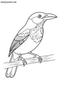 Sooty Ant-Tanager (Habia gutturalis) coloring page Sooty Ant-Tanager (Habia gutturalis) coloring page