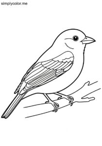 Tanager (Piranga olivacea) coloring page Tanager (Piranga olivacea) coloring page