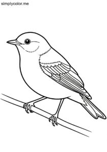 Tennessee Warbler (Leiothlypis peregrina) coloring page Tennessee Warbler (Leiothlypis peregrina) coloring page