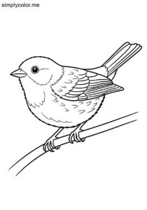 Twite (Linaria flavirostris) coloring page Twite (Linaria flavirostris) coloring page