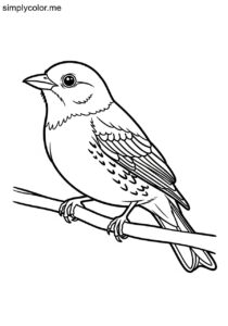 Western Tanager (Piranga ludoviciana) coloring page Western Tanager (Piranga ludoviciana) coloring page