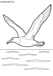 Albatross over the ocean coloring page