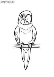 Amigo being parrot printable coloring sheet for kids