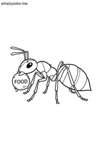 Ant carrying food coloring page