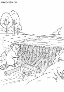 Beaver building dams printable coloring sheet for kids