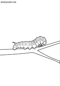 Caterpillar on a branch coloring page Caterpillar on a branch coloring page