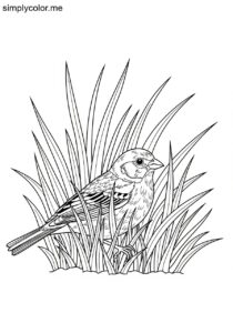 Chestnut bunting in the grass coloring page