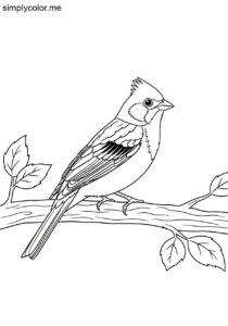 Chestnut-eared bunting in a tree coloring page